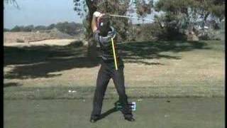 Tiger Woods Swing [upl. by Ilamad]