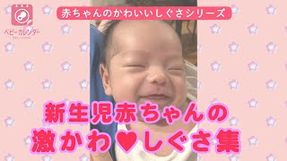 【月齢別 激かわ赤ちゃんの特徴】新生児微笑・モロー反射…新生児のかわいいしぐさ集 [upl. by Dav742]