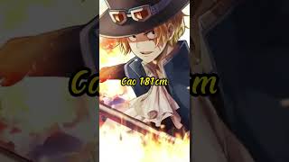 One Piece Đảo Hải Tặc đây là nhân vật nào phần 2 Luffy Zoro Sanji onepiece anime [upl. by Heeley]