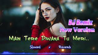 Main Trea Diwana Tu Meri  🩷 Slowed and Reverb  hindi sorng  dj remix  remix dj hindisong [upl. by Aicarg]