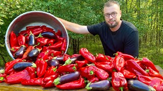 AJVAR  Zimnica od paprika i patlidžana Supruga pomogla [upl. by Aleunam]