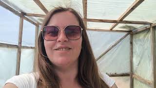 comment semer les courgettesconcombres et cornichons vlog 15 [upl. by Latrice]