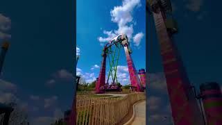 😱 NEW Serengeti Flyer Ride at Busch Gardens Tampa shorts buschgardens [upl. by Desirae]