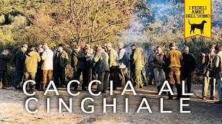 CACCIA AL CINGHIALE trailer documentario [upl. by Clarhe947]