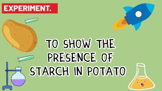 Experiment to show the presence of starch in 🍠 potato [upl. by Ailimat]