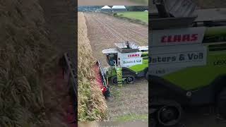 CLAAS село сельскоехозяйство мтз деревня трактор farming агро youtube [upl. by Archie]