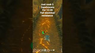 Trick to easily beat Ridgeland Tower Electric Tower Challenge BOTW [upl. by Rhonda669]