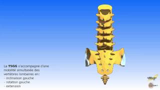 Les mouvements associés du sacrum et du rachis lombaire [upl. by Winonah]
