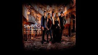 Silver Springs Fleetwood Mac Tribute Live Promo Video [upl. by Strepphon]