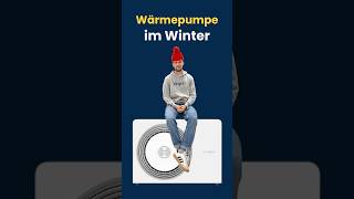 Wärmepumpe im Winter Funktioniert das [upl. by Philpot]