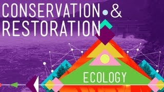 Conservation and Restoration Ecology Crash Course Ecology 12 [upl. by Eiffe]