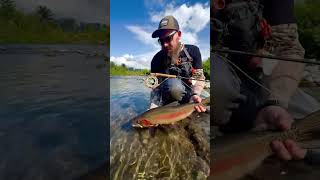 steelhead catchandrelease flyfishingonly fishing flyfishingvibes trout flyfishinglife [upl. by Ginzburg]