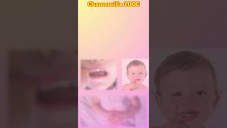 Chamomilla Homeopathic Medicine  Chamomilla 30  200 uses amp benefits  Identifying Symptoms [upl. by Studner]