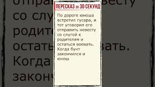 Капитанская дочка Глава 13 Пересказ за 30 секунд shorts [upl. by Shotton]