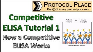 Competitive ELISA Tutorial 1 How a Competitive ELISA Works [upl. by Olinde451]