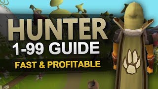 OSRS 199 Hunter Guide [upl. by Alyac]