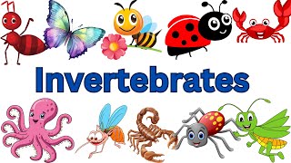 Invertebrates Names Part 1 Invertebrates Vecoblary List of InvertebratesAmazing Invertebrates [upl. by Tnilc]