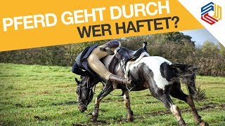 Unfall beim Reiten  wer haftet Pferderecht Corina Seiter Delmenhorst [upl. by Cline]