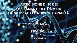 La Recisione di 10 dei 12 Filamenti del DNA di Peter B Meyer 23022024 [upl. by Auqinihs917]