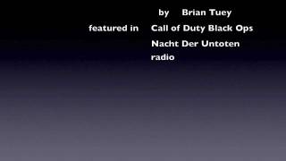 UHF Call of Duty Black Ops  Nacht radio nazi zombies Brian Tuey [upl. by Ykcor21]