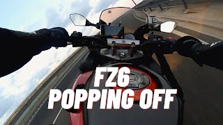 Yamaha FZ6 acceleration and power wheelies  Dominator Exhaust [upl. by Tierza]