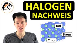 HALOGENNACHWEIS mit Silbernitrat Chlor Brom amp Iod  Fällungsreaktionen [upl. by Robby]