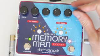 EHX Deluxe Memory Man 1100TT [upl. by Einneb111]