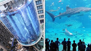 15 Largest Aquariums in the World [upl. by Holcomb210]