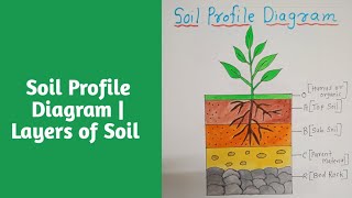 Soil Profile Diagram  Layers of Soil soilprofile layersofsoil artndesign youtubesearch drawing [upl. by Amieva]