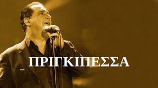 Βασίλης Καρράς  Πριγκιπέσσα ΣτίχοιLyrics  Greek Lyric Videos [upl. by Sexton]