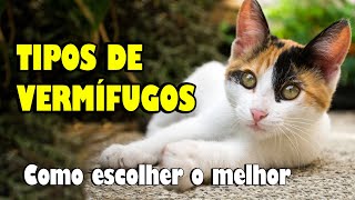 VERMÍFUGOS para gato  como escolher o MELHOR vermífugo  Gatil Hauser [upl. by Derf747]