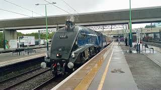 Trains At Milton Keynes Central 08102024 [upl. by Kaliski]