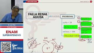 MAPAS MENTALES  FALLA RENAL AGUDA  ERC [upl. by Jaunita]