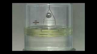 Interfacial Tension Test using a Du Nouy Ring [upl. by Ellek708]