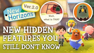 HIDDEN FEATURES You STILL Dont Know in Animal Crossing New Horizons [upl. by Annaek]