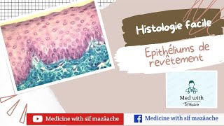 1 Les Epithéliums de Revêtement  Histologie 1ère MED [upl. by Bahr]