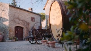 San Gimignano Vineyard Visit  Italys Treasures  Collette [upl. by Mandi]