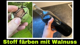 Experiment Stoff färben mit Nussschalen  Walnuss Farbe herstellen  Selbstversorgung Farbe [upl. by Cristine385]