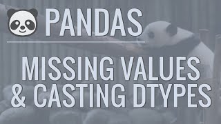 Python Pandas Tutorial Part 9 Cleaning Data  Casting Datatypes and Handling Missing Values [upl. by Aniar656]