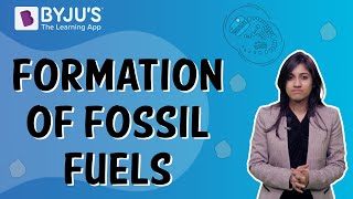 How Are Fossil Fuels Formed  Class 5  Learn With BYJUS [upl. by Creigh]