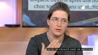 Cruauté dasn un abattoir  C à vous  23022016 [upl. by Haropizt]