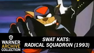 Intro  SWAT Kats Radical Squadron  Warner Archive [upl. by Ambrogino693]