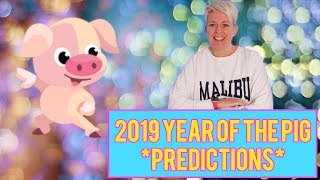 The year of the PIG 2019 Chinese animal horoscope for the year 2019 [upl. by Eirovi]