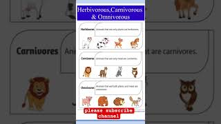 Herbivorous carnivorous and ominvorous animals eating habits omnivores animals [upl. by Ettena]