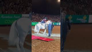 Rocío Perlata e hijos premio🏅 del pura raza SICAB 2024 purarazaespañola caballos premio shorts [upl. by Crist635]