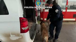 Controale de amploare la frontierele din Botoșani Zeci de polițiști de frontieră și echipaje canine [upl. by Etnoval232]