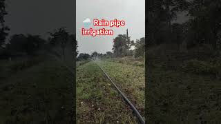 Smart drip irrigation Rain pipe shorts shortvideo viralvideopunjabisong [upl. by Etnoj]