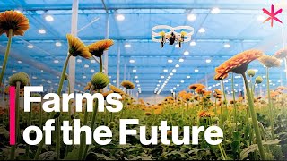 The Futuristic Farms That Will Feed the World  Freethink  Future of Food [upl. by Aivat]