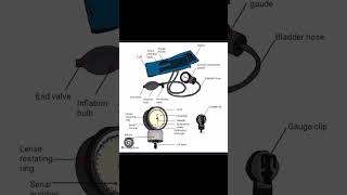 Parts of sphygmomanometer BP apparatus medical shorts [upl. by Annoled]