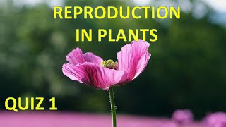 Reproduction in plants Quiz 1 [upl. by Anayet]